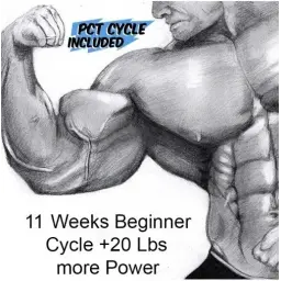 11 Weeks Beginner Cycle