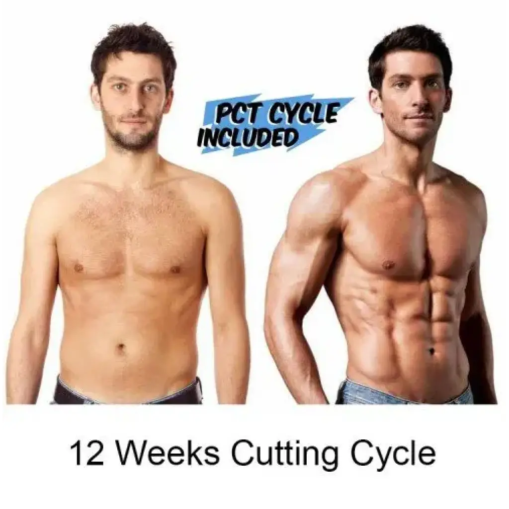 12 Weeks Cutting Cycle