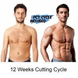 12 Weeks Cutting Cycle