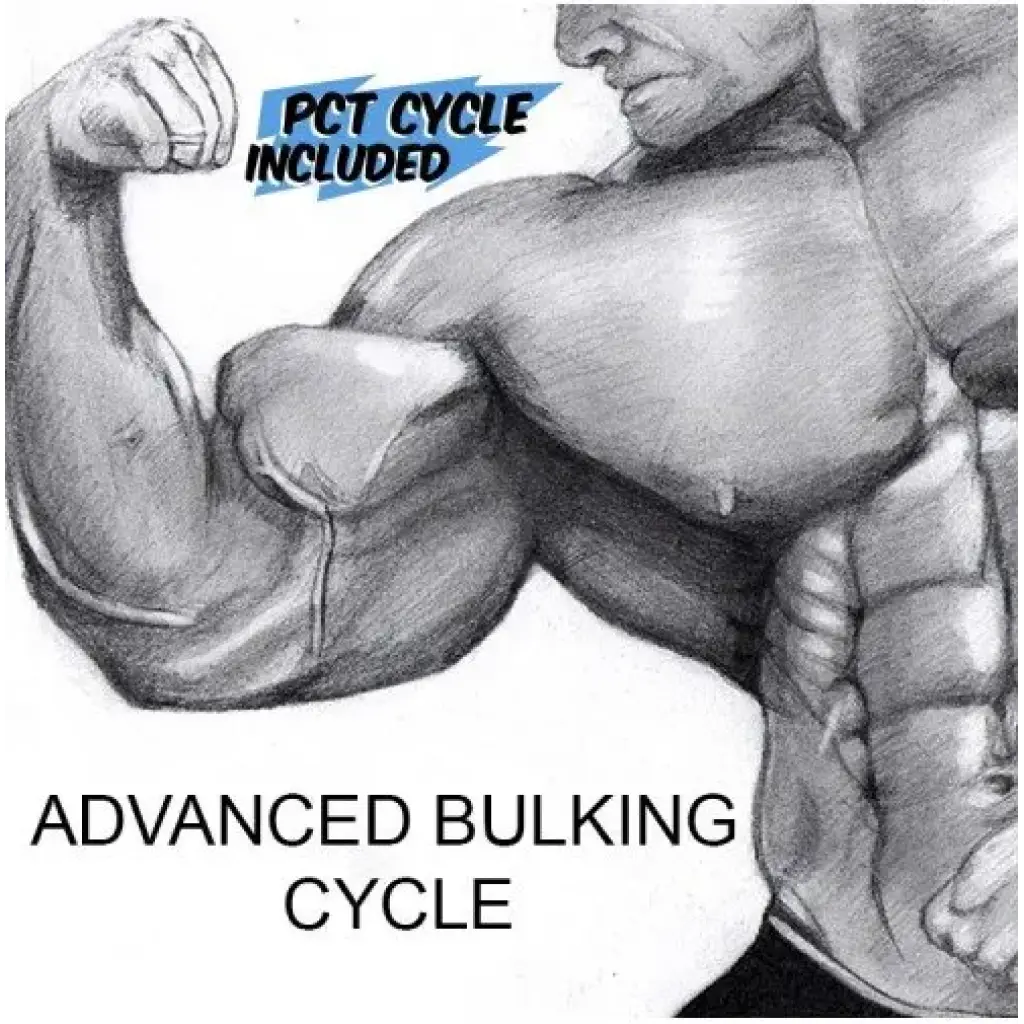 Advanced Bulking Cycle