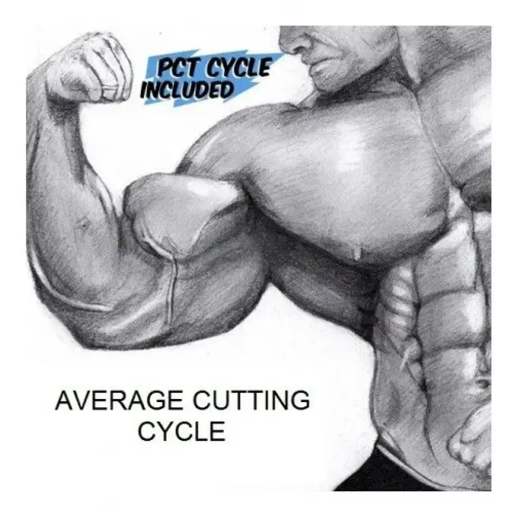 Average Cutting Cycle