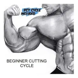 Beginner Cutting Cycle