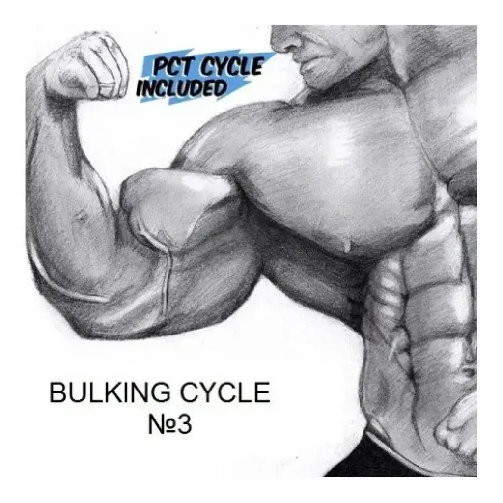 Bulking Cycle 3