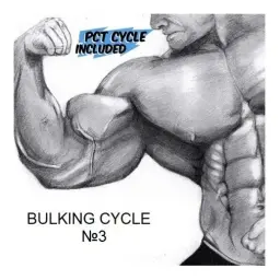 Bulking Cycle 3