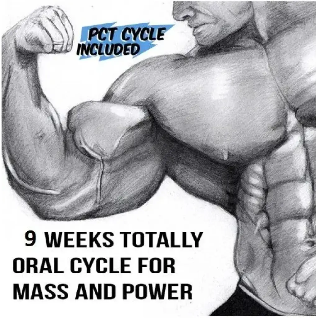 Oral Bulking Cycle