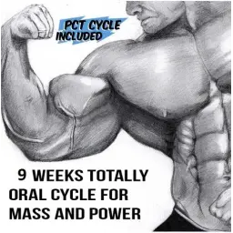 Oral Bulking Cycle