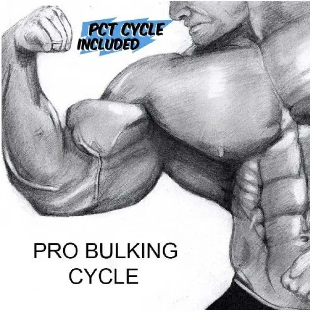 Pro Bulking Cycle