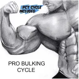 Pro Bulking Cycle