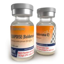 SP Equipoise